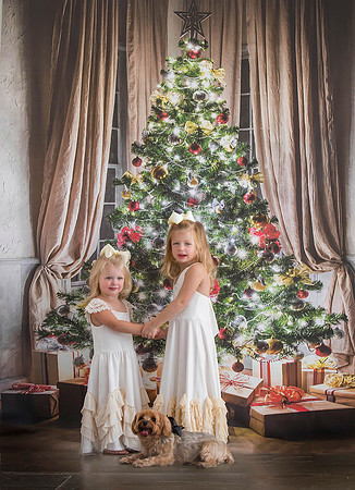 Lighted Tree