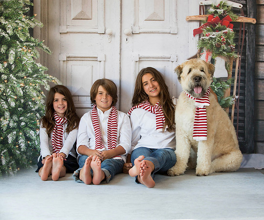 white holiday door