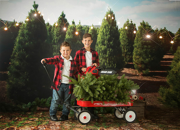 Tree Farm