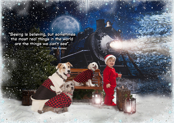 Polar Express