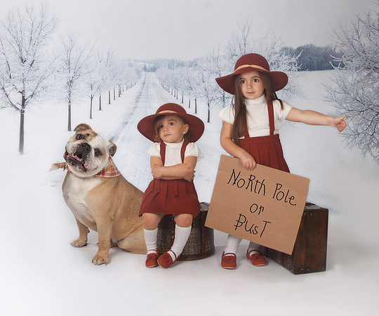 North Pole or Bust SNOW